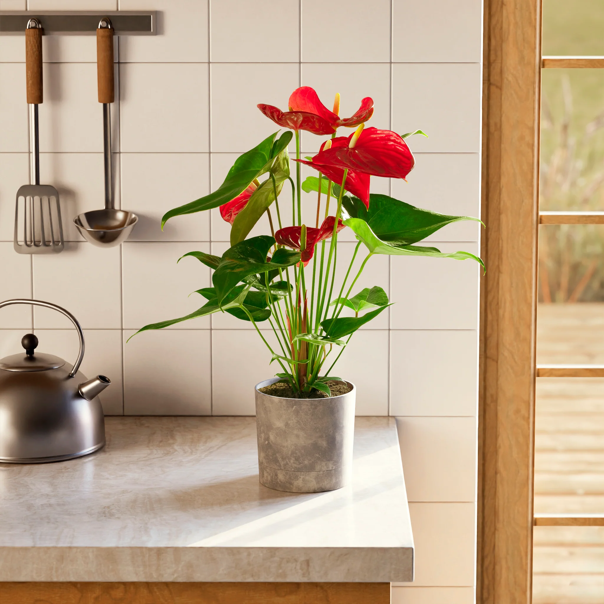 Product image 61