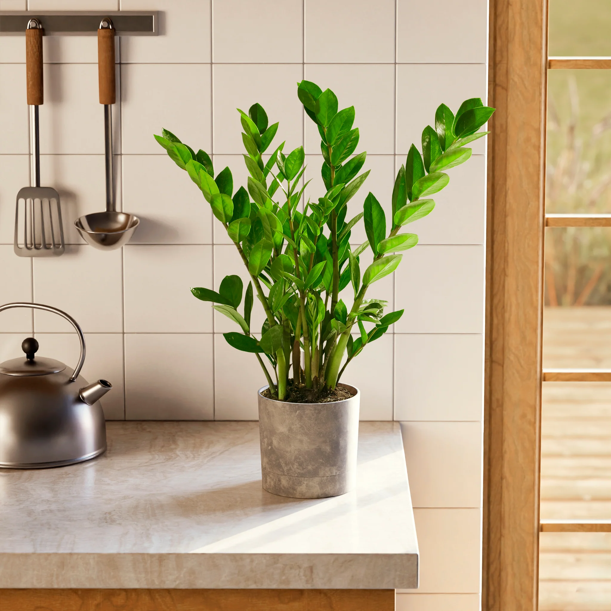 Product image 51